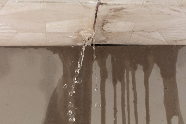 Professional Water Damage Restoration technician working in San Martin, CA